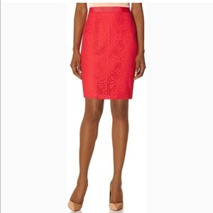 The Limited lace skirt